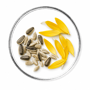 Aceite de Girasol