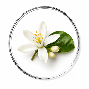 Aceite esencial de Neroli