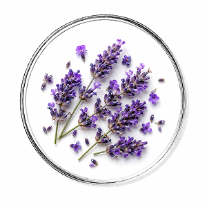 Aceite esencial de Lavanda