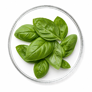 Hidrolato de Albahaca