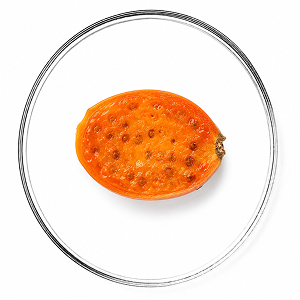 Aceite de Higo Chumbo
