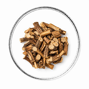 Extracto de Raíz de Polygonum Cuspidatum